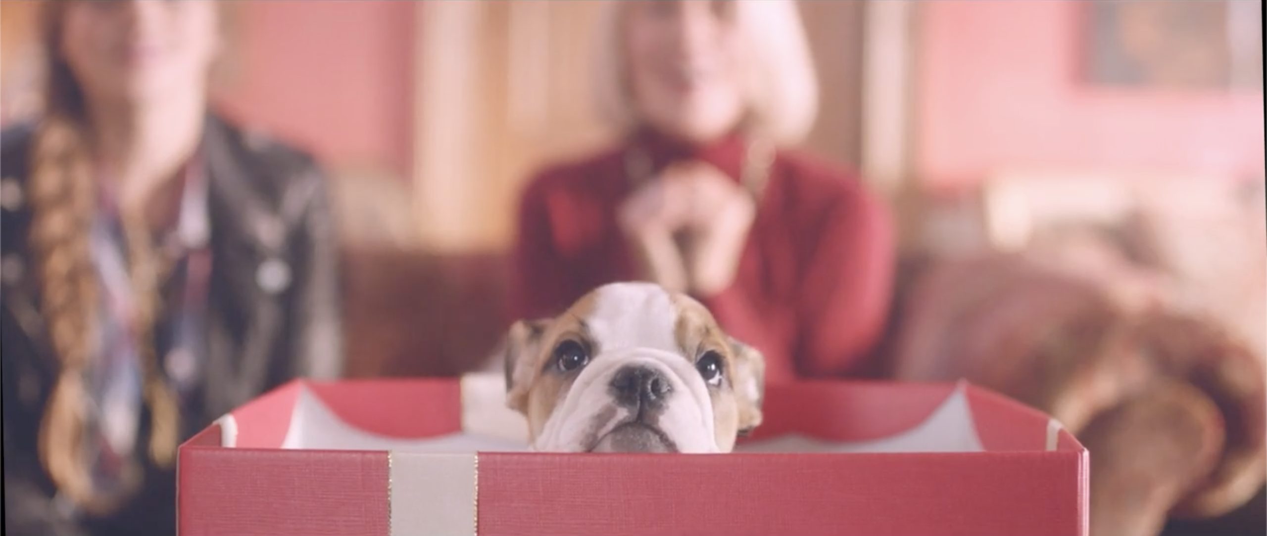 MULBERRY - #Winchristmas