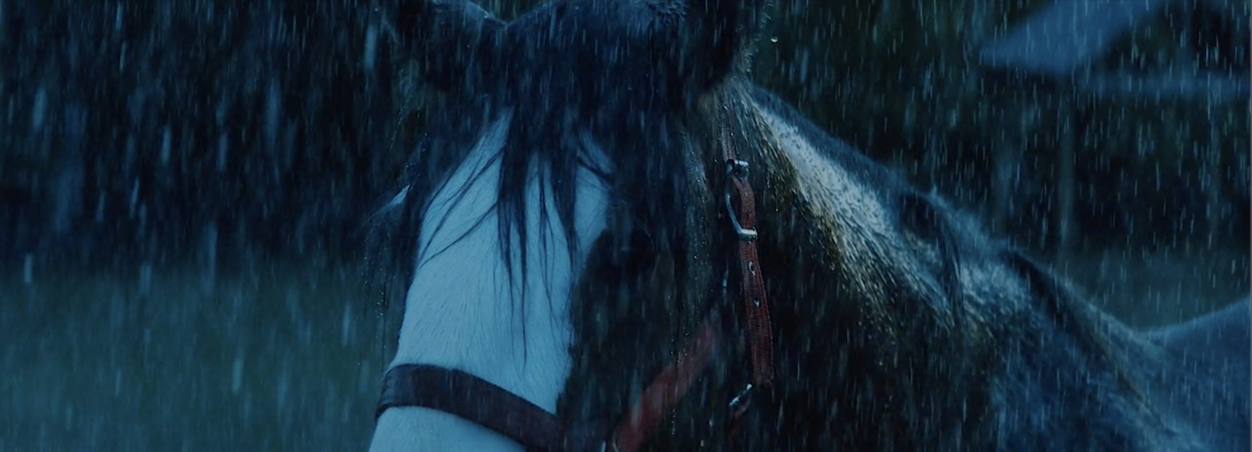 PURINA - April & Dixie