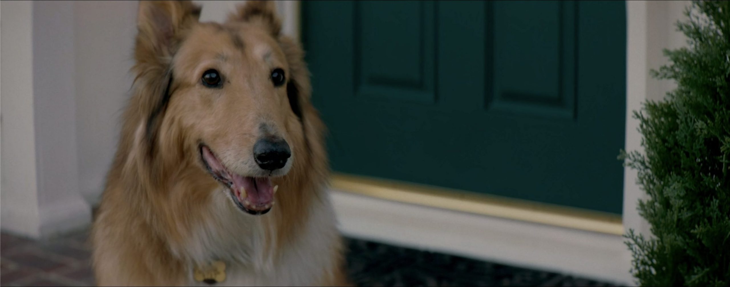 HONDA - George & Max