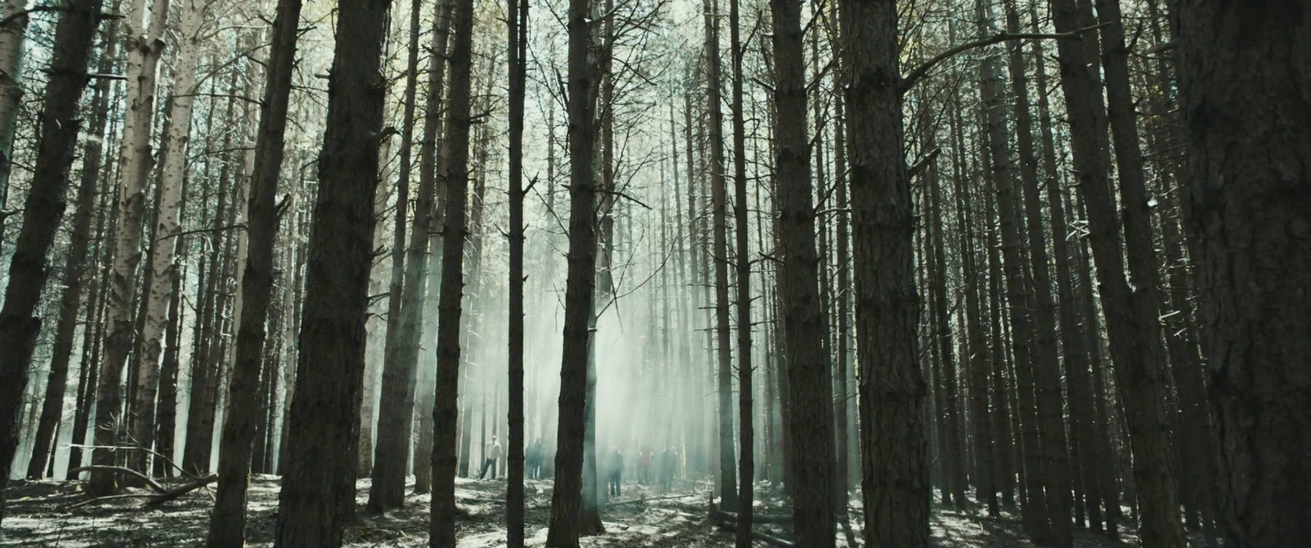 ZEROZEROZERO - Trailer