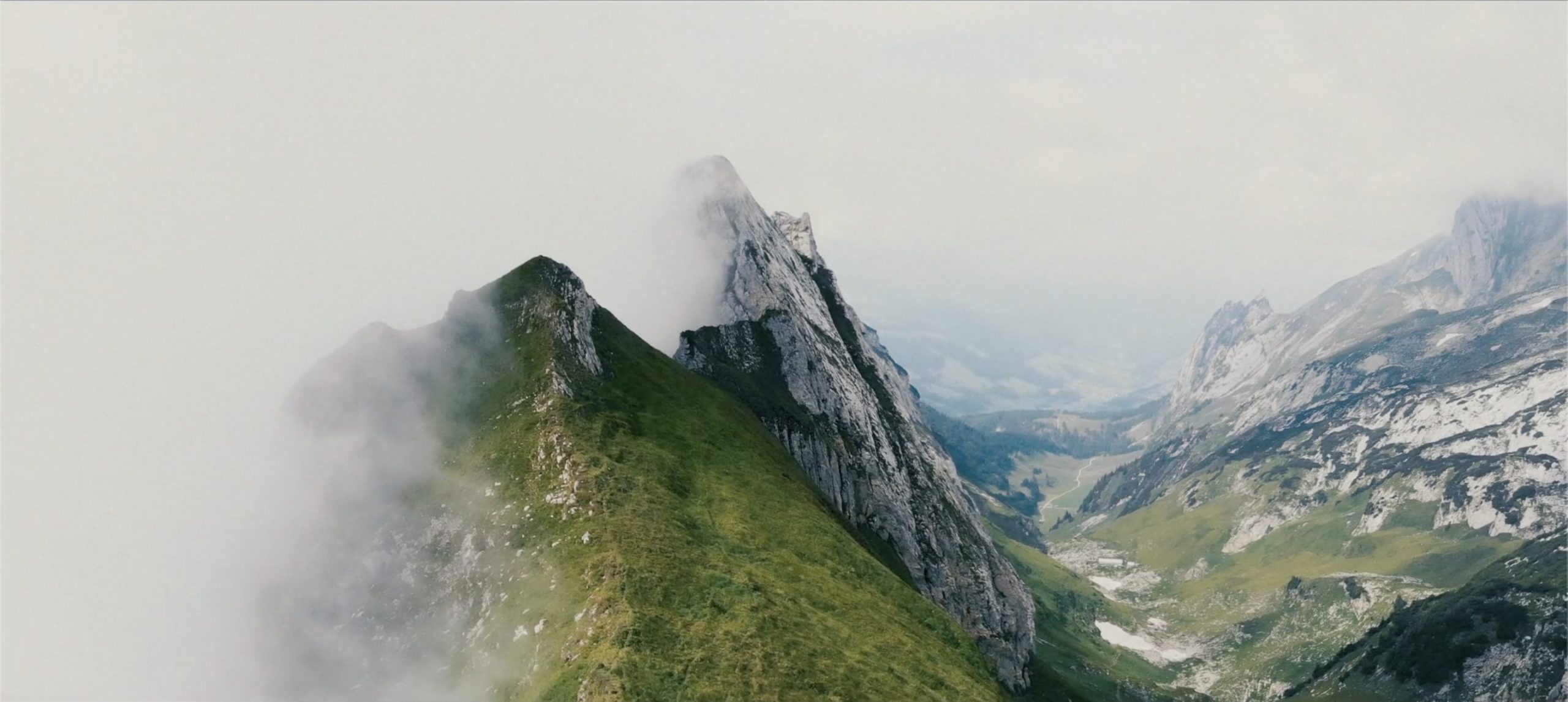 The Aisle of Aldi - Aldi