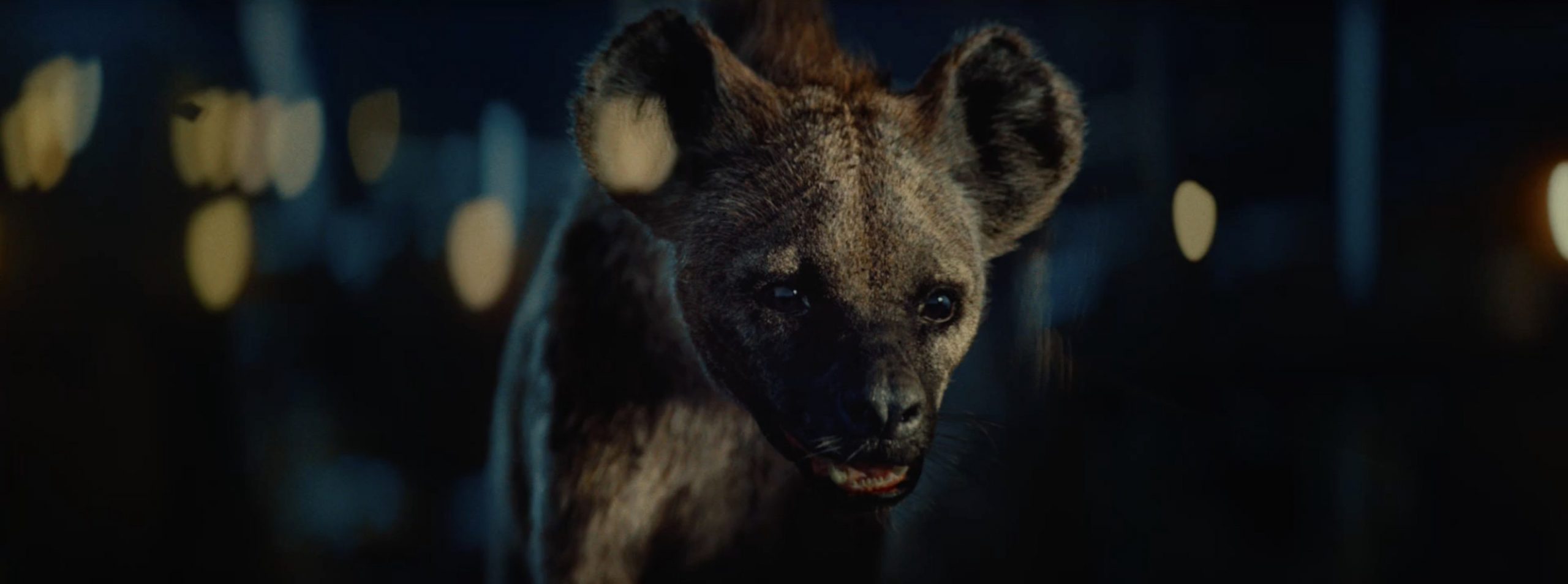 Amazon Prime Video - An Unlikely Friendship